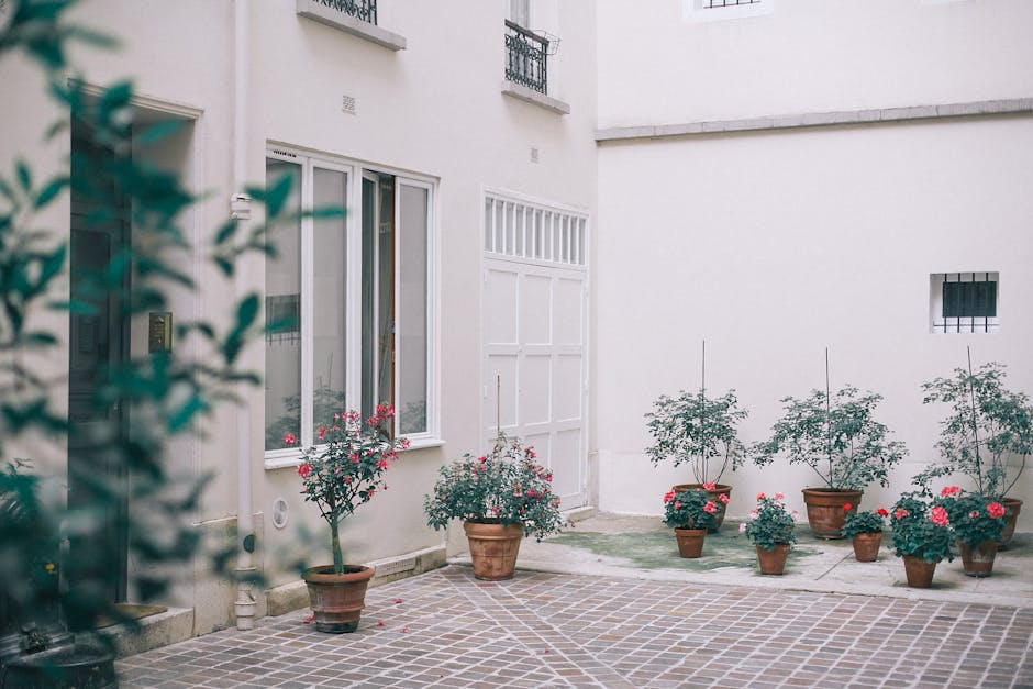 Charming residential courtyard featuring potted flowers and elegant architecture, ideal for stock photo use.