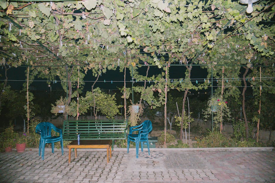 Cozy garden seating area under grapevines with chairs and table at night.